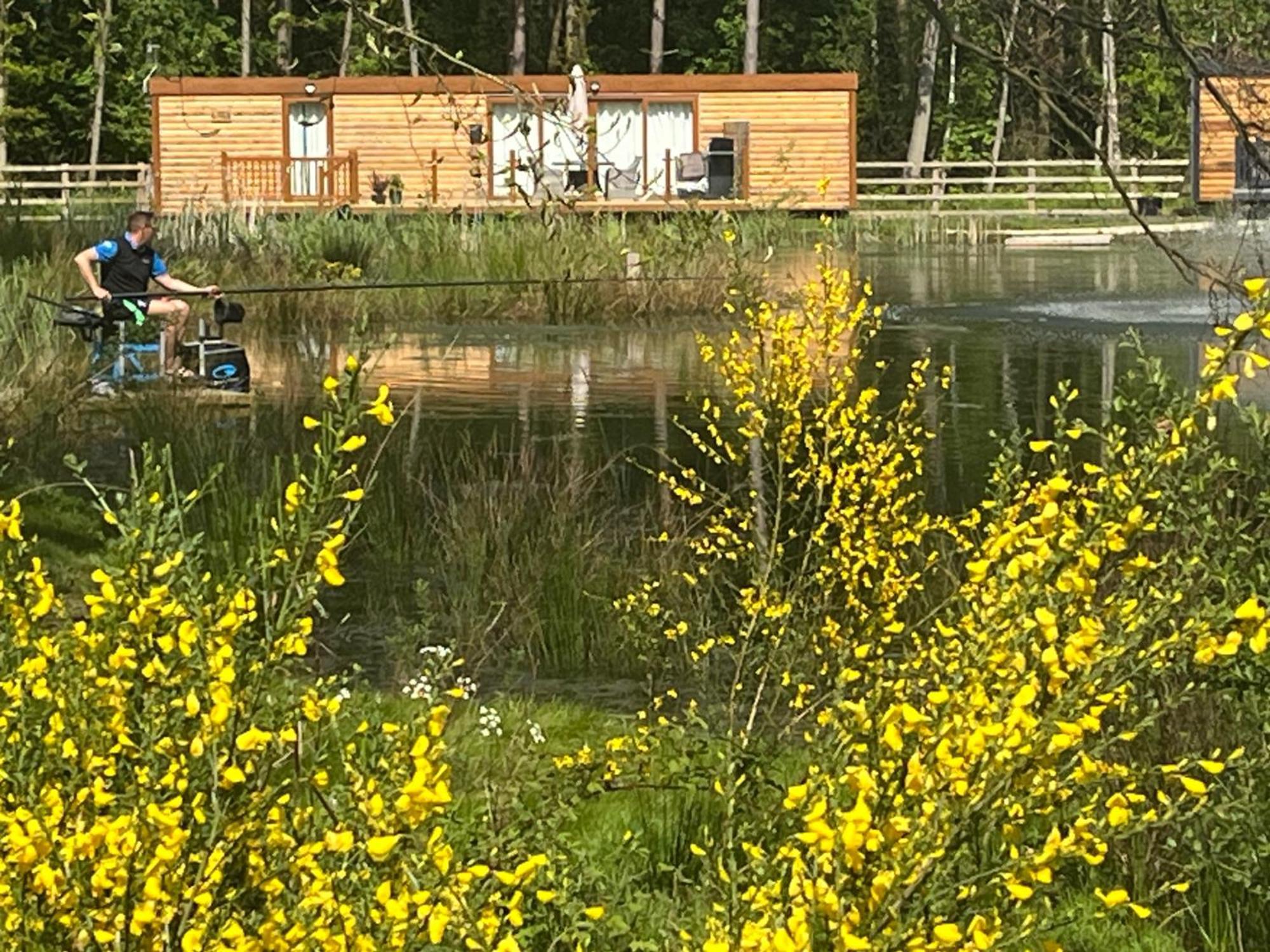 Rowan Boutique Lodge For Couples With A Dog York Kültér fotó